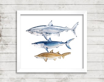 Shark Watercolor Print. Shark Art. Coastal Decor. Nautical Decor. Scientific Illustration Print. Kids Room. Watercolor Print. Shark Art.