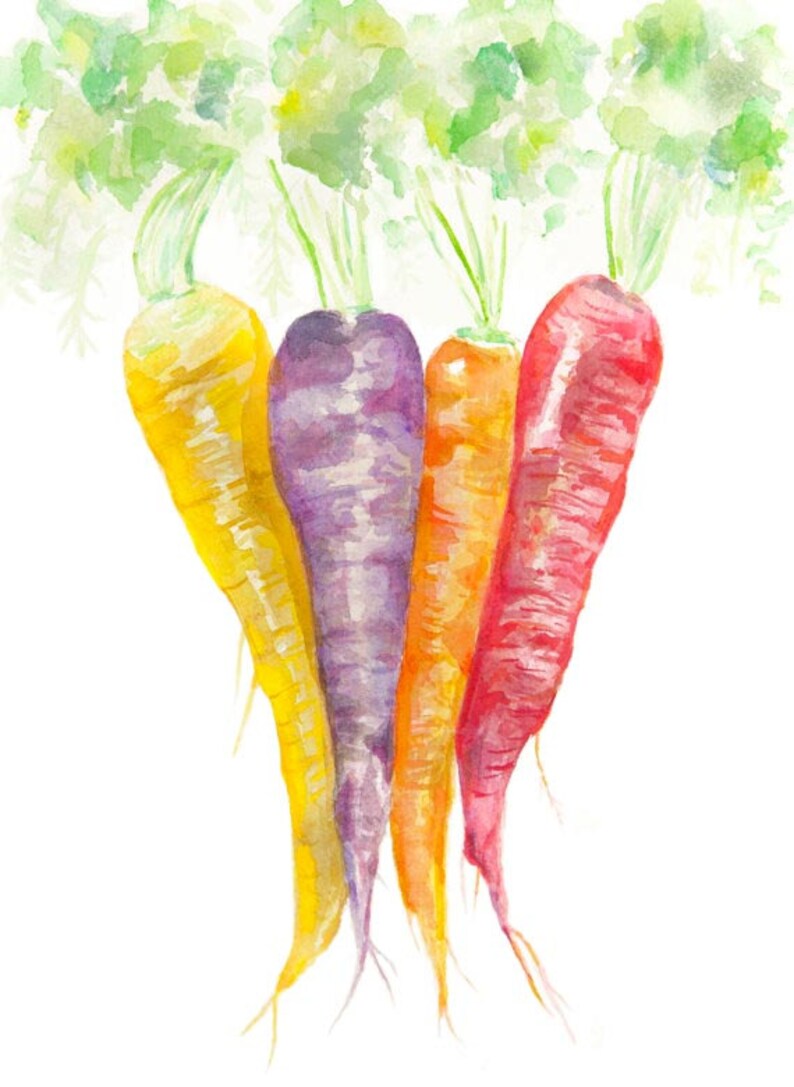 May include: Four carrots in a watercolor painting. The carrots are arranged vertically, with the tops of the carrots at the top of the image. The carrots are yellow, purple, orange, and red. The carrots are painted in a realistic style, with visible details such as the roots and the leaves.