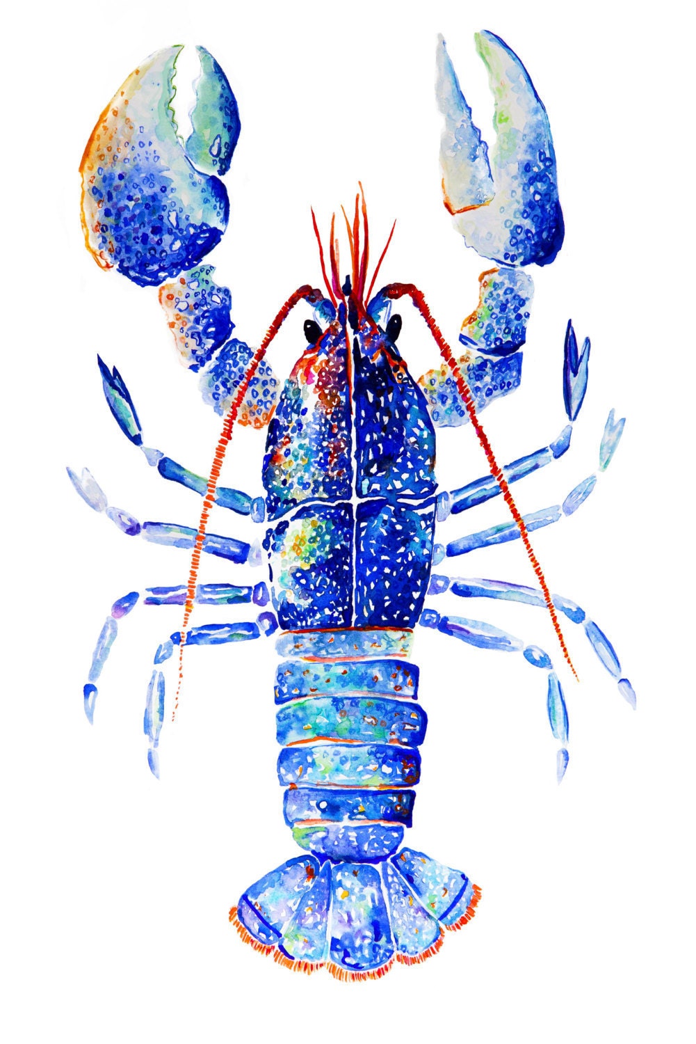 Lobster Watercolor Print. Lobster Art Print. Blue Lobster. Etsy