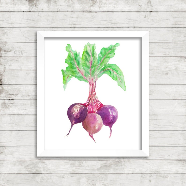 May include: Watercolour painting of a bunch of beetroot with green leaves. The beetroot are purple and pink and have white stems.