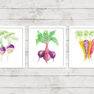 May include: Three watercolor paintings of vegetables. The first painting shows two purple turnips with green leaves. The second painting shows three purple beets with green leaves. The third painting shows five orange, yellow, and purple carrots with green leaves.