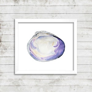Op de afbeelding: Een aquarel schilderij van een paarse en witte schelp. De schelp is realistisch geschilderd, met details van de textuur en kleur van de schelp.
