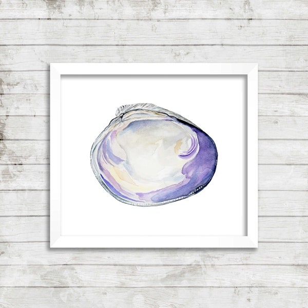 Quoddy Head Quahog Watercolor Print, Quahog Art, Quahog Decor, Shell Art, Shell Decor, Nautical Art, Nautical Print, Ocean Art