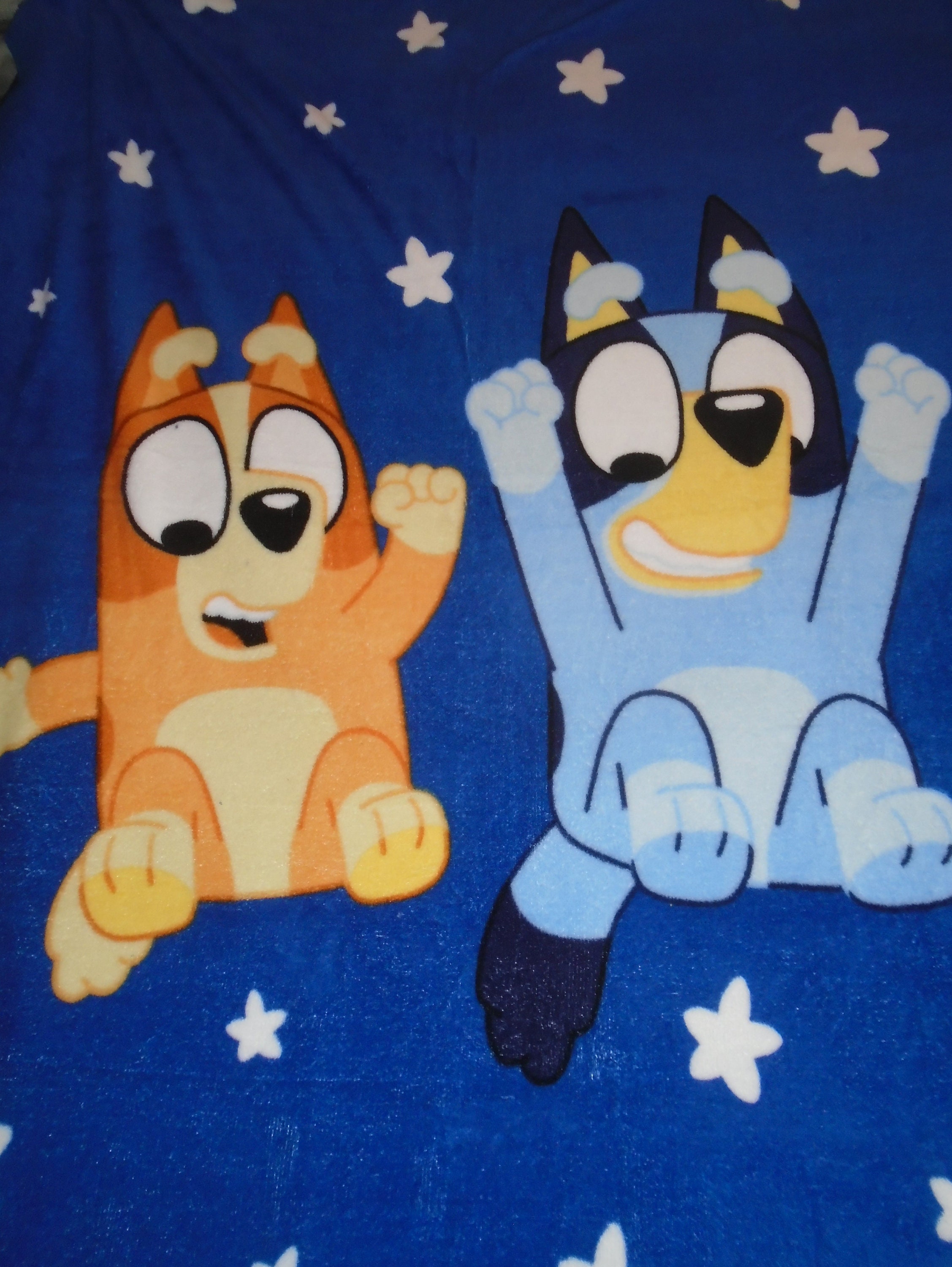 Bluey and Family Cartoon Character Double Sided Hand Tied Fleece Rag ...