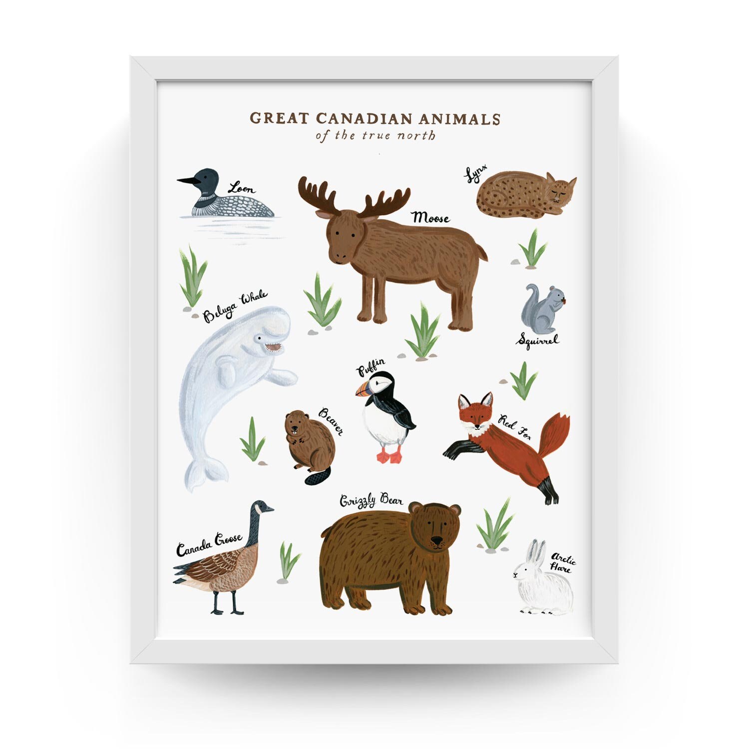 Canadian Animals Nursery Art Print Baby Room Decor Etsy