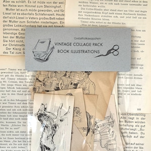pacchetto collage vintage, illustrazioni di libri vintage, kit di diario spazzatura, carta vintage, diario d'arte, materiale collage, diario spazzatura,