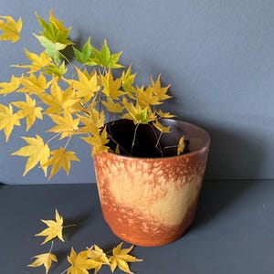 Peut inclure: Un pot en céramique avec un extérieur texturé et moucheté orange et beige. Des feuilles et des branches d'érable jaunes sont disposées à l'intérieur et autour du pot, créant une présentation automnale. Le pot est posé sur un fond gris.