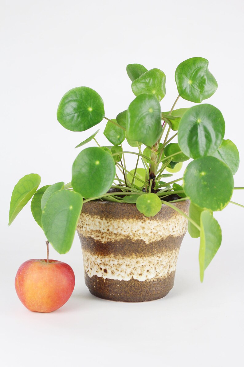 60s-70s ceramic pot WGP plant pot Fat lava mid century pot flower pot vintage flower pot