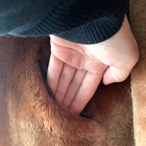 Puede incluir: Primer plano de una mano que alcanza un bolsillo marr&oacute;n y afelpado. El bolsillo es parte de una tela marr&oacute;n m&aacute;s grande y texturizada. La manga de un su&eacute;ter negro es visible en la parte superior de la imagen.
