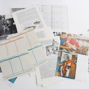 Scrapbooking, Set Ephemera, Kit diario, Carta vintage, Pagine di diario spazzatura, ArtJournal, Materiale collage, Diario spazzatura, Snailmail