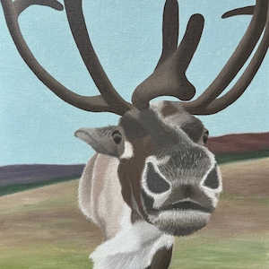Cairngorm Reindeer, original oil painting on canvas, animal art, framed, Scotland, Aviemore, Christmas