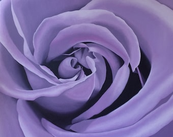 Lilac Rose - large original oil painting on deep edge canvas ready to hang