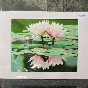 Lotus Flower, limited edition giclee print, green wall art, floral, flowers image 2