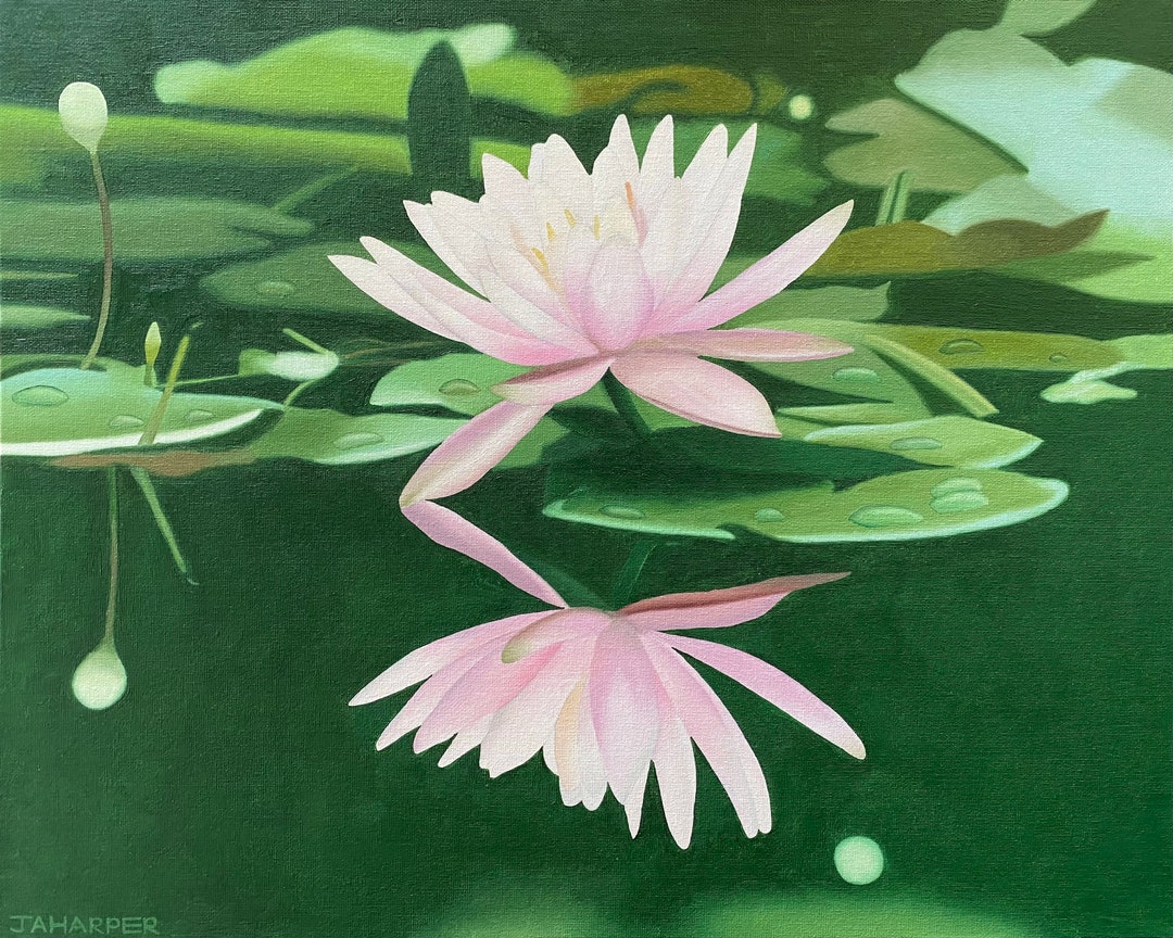 Water Lily Original Oil Painting on Canvas, Lotus Flower, Pink and ...