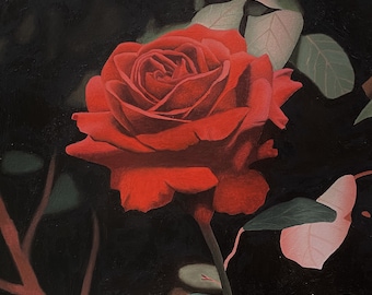 Red Rose, limited edition print of original oil painting, red, single flower, black background