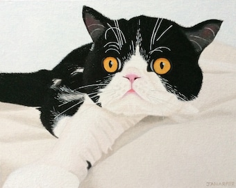 Tuxedo Cat, original oil painting on canvas, small framed artwork, cute animals, white