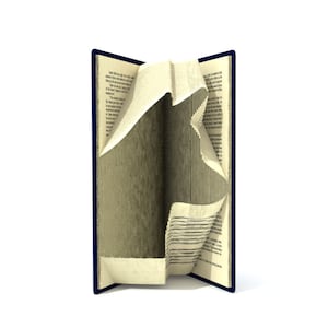 May include: A blue hardcover book with the pages fanned out and curled, creating a unique abstract shape.