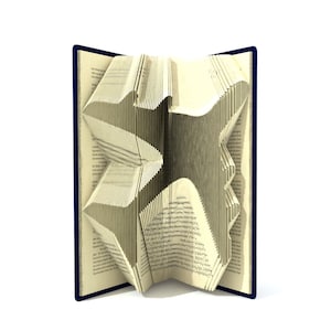 Puede incluir: Un libro con las páginas dobladas en forma de avión. El libro está abierto y las páginas están dobladas para crear un diseño tridimensional.