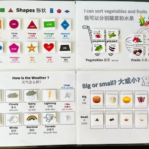 May include: Educational flashcards with colorful illustrations. Topics include shapes, weather, and sorting vegetables and fruits. The cards also teach the concepts of big and small. The text is in English and Chinese.