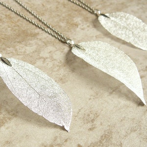 Op de afbeelding: Drie zilveren bladkettingen met delicate kettingen. Elke hanger is een echt blad dat met zilver is bedekt.