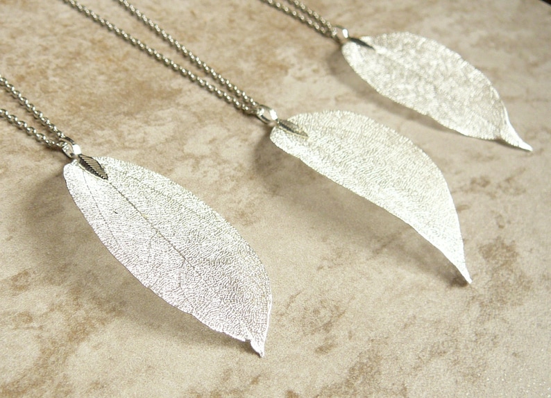 Op de afbeelding: Drie zilveren bladkettingen met delicate kettingen. Elke hanger is een echt blad dat met zilver is bedekt.