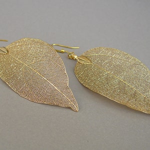 May include: A pair of gold-colored leaf earrings. The earrings are shaped like large leaves with intricate vein detailing. The hooks are gold-colored. The earrings are displayed against a gray background.