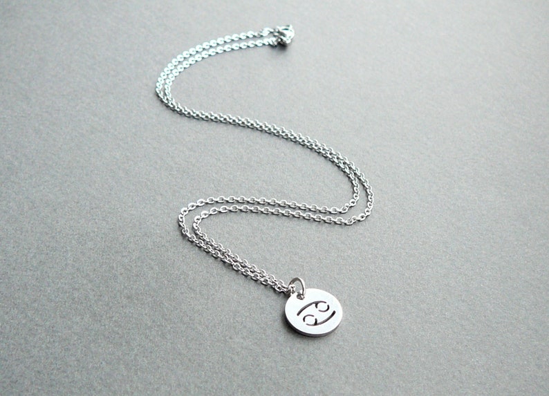 Op de afbeelding: Een zilveren ketting met een ronde hanger met het sterrenbeeld Kreeft.