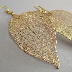 Gold Leaf Earrings Gold Dipped Leaf Gold Plated Real Leaf Earrngs for Girl Jewelry Boho Chic Gift Gold Leaves Earrings for Women Gift Idea