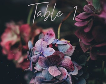 Numeri di tabella per eventi, matrimoni, feste, cene (download digitale e stampa)