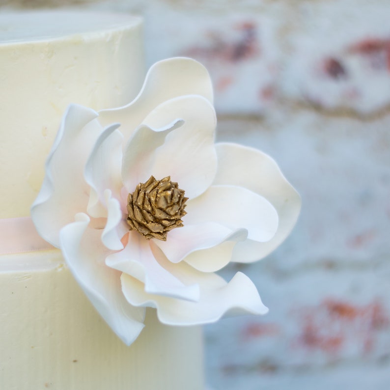 Magnolia Sugar Flower with Blush Details and Gold Center Etsy