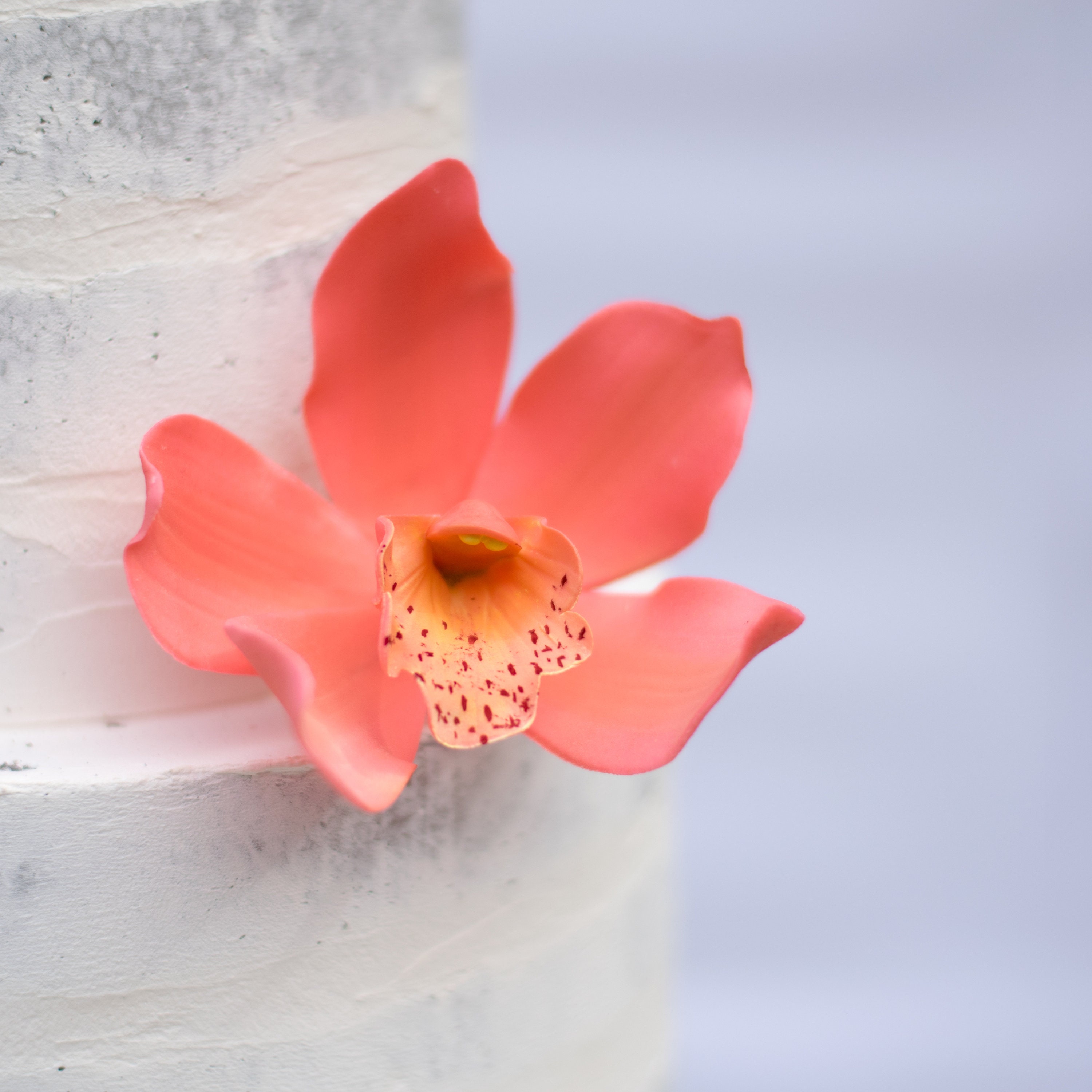 Cymbidium Orchid Sugar Flower Coral Gumpaste Orchid For