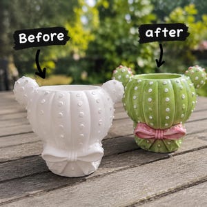 Paint you own pottery-pottery cactus-Cactus Vase-Succulent Gift-Flower Vase-Pottery Activity-Vase painting-Teddy hear shaped cactus-Vases