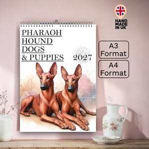 May include: A 2027 wall calendar with a spiral binding, featuring two Pharaoh Hound dogs. The calendar reads "Pharaoh Hound Dogs & Puppies". It also displays "A3 Format" and "A4 Format" options. Made in the UK.