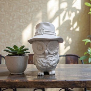 May include: A white owl figurine wearing a matching hat with a decorative band. The owl is perched on a wooden table next to a small potted succulent. The background features a patterned wall and a glimpse of greenery.