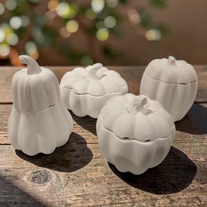 May include: Four matte white ceramic pumpkin-shaped containers with lids. The collection includes one tall, narrow pumpkin and three shorter, rounded pumpkins, each featuring vertical ridges and a small stem handle on top of the removable lid.