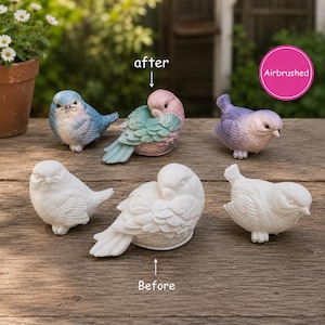 May include: Six bird figurines arranged in two rows. The top row features a blue bird, a pink and green bird, and a purple bird. The bottom row shows three plain white bird figurines. Text labels include after, before, and Airbrushed.