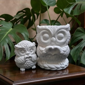 May include: Two white owl figurines, one small and one large, sit on a dark wooden surface. The owls have detailed feather textures and large, round eyes. Lush green Monstera leaves provide a natural backdrop, creating a contrast with the white owls.