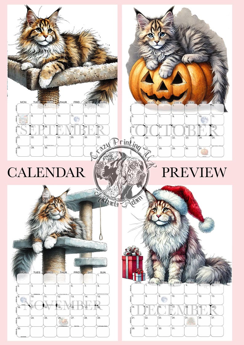 Maine Coon Calendar 2026cat Calendar 2026gifts for Cat Peoplemaine