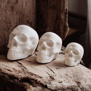 May include: Three white ceramic skull figurines of varying sizes, arranged on a weathered wooden surface. The skulls are smooth and feature realistic details, including eye sockets, a nose, and a jawline.