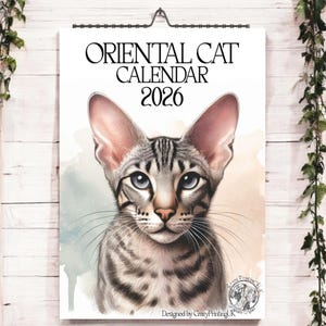Calendrier oriental chat 2026-Calendrier 2026 chat-Cadeaux pour chats-Cadeaux oriental chat-Cadeaux pour amoureux des chats-Calendriers muraux chats-Cadeaux chats pour gens