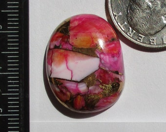 30.0 ct. (24x19x6 mm) Compressed/Stabilized/Dyed Kingman Starburst Spiny Oyster Cabochon, Gemstone, # 1GF 44