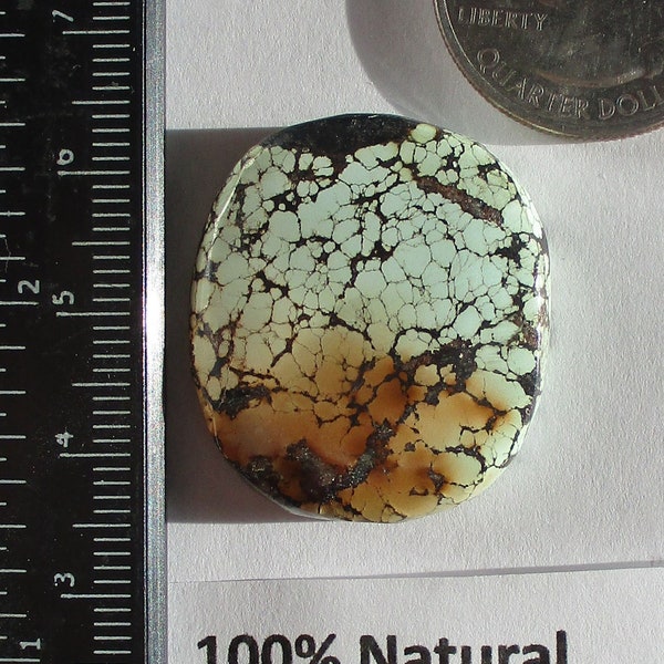 43.3 ct. (29x26x7 mm) 100% Natural Web Cloud Mountain (Hubei) Turquoise Cabochon, Gemstone, # JO 75