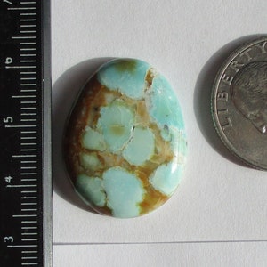 21.5 ct. (31.5x24x6 mm) Stabilized Web Supernova Turquoise Cabochon Gemstone, # 1GJ 55