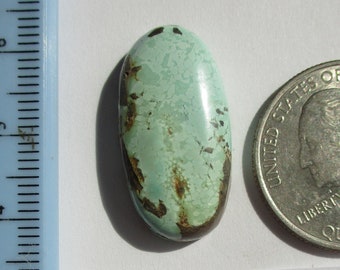 19,3 carats. (27x14x6 mm) 100% Naturel Rare Sauterelle Turquoise Cabochon Gemstone, # 2AM 015 s