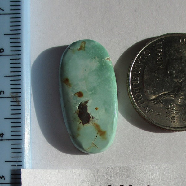 15.8 ct. (28x14x4.5 mm) 100% Natural Rare Grasshopper Turquoise Cabochon Gemstone, GV 068 s