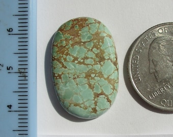 19,9 carats. (28x18x5 mm) 100% Naturel Rare Web Sauterelle Turquoise Cabochon Gemme, # 2AM 019 s