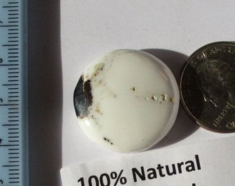 52.6 ct. (27 round x 9 mm) 100% Natural White Buffalo Cabochon Gemstone FY 010