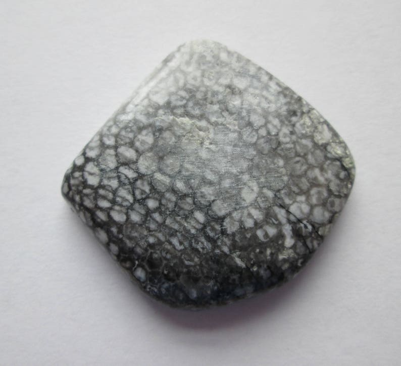 # 1AR 005 56.40 ct Natural Alaska Coral Cabochon Gemstone