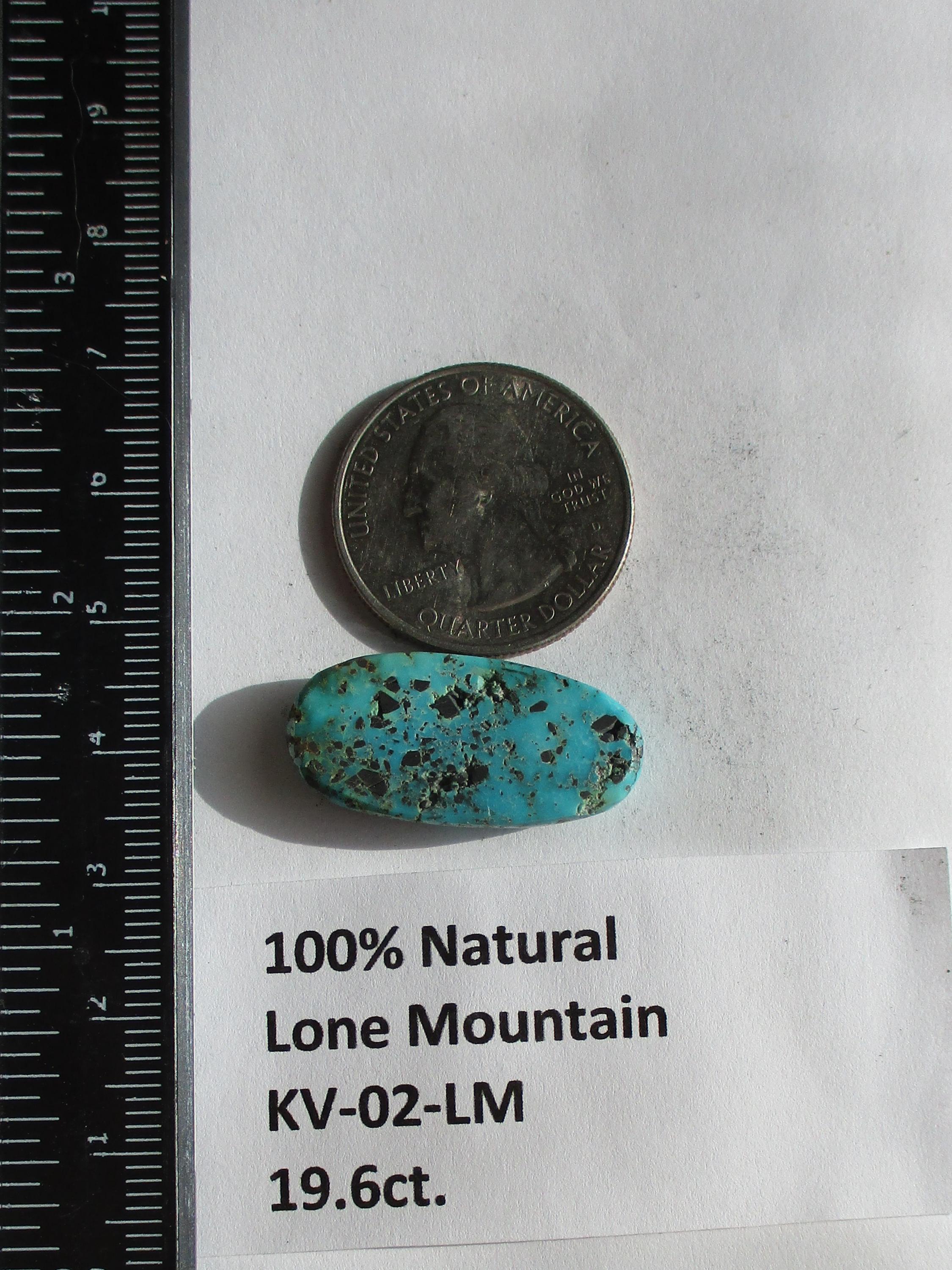 19,6 kt. (27 x 13 x 6 mm) 100% natuurlijke web Lone Mountain