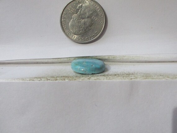 11.3 Ct. (19x16x4 Mm) 100% Natural Lone Mountain Turquoise